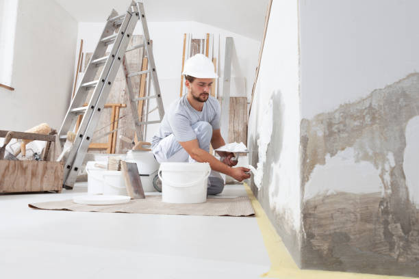 Best Interior Painting  in Goodview, MN