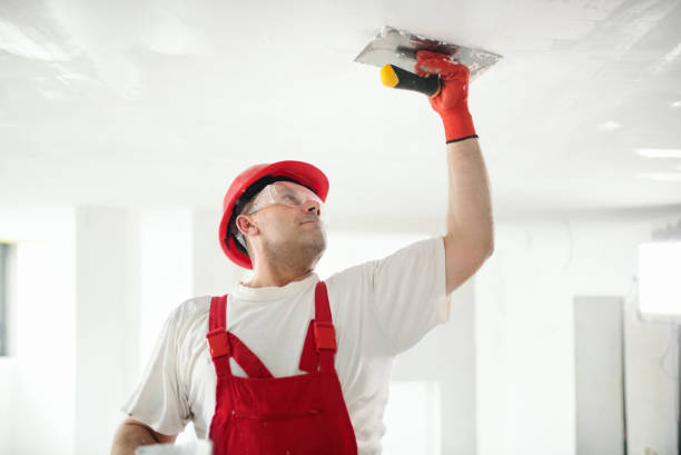 Best Commercial Painting  in Goodview, MN